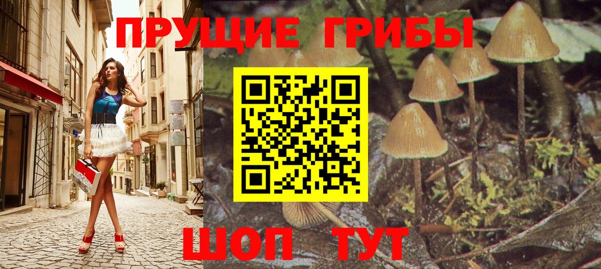 Псилоцибиновые грибы прущие грибы  Псилоцибиновые грибы Psilocybine cubensis  Вышний Волочёк  закладка  Вход с VPN 