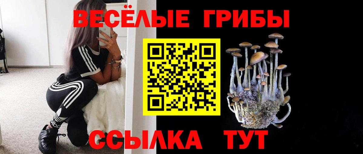 Галлюциногенные грибы мухоморы Вышний Волочёк